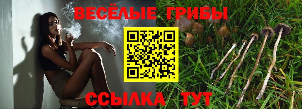 Псилоцибиновые грибы мухоморы Южно-Сахалинск